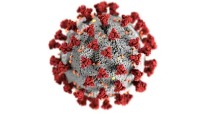 Virus graphic