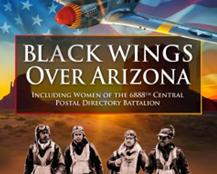 Black wings over Arizona book cover