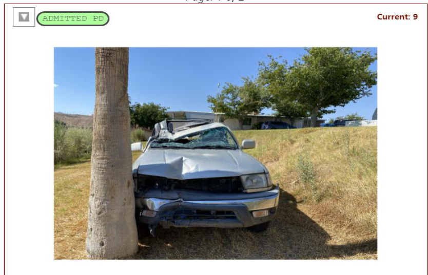 car crashed into tree