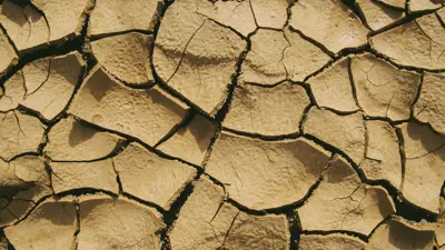 Dry cracked dirt 