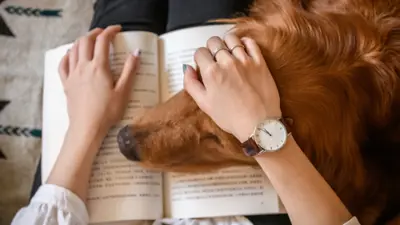 Person sitting with a dog laying in their book