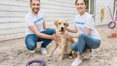 Volunteers kneeling next to dog